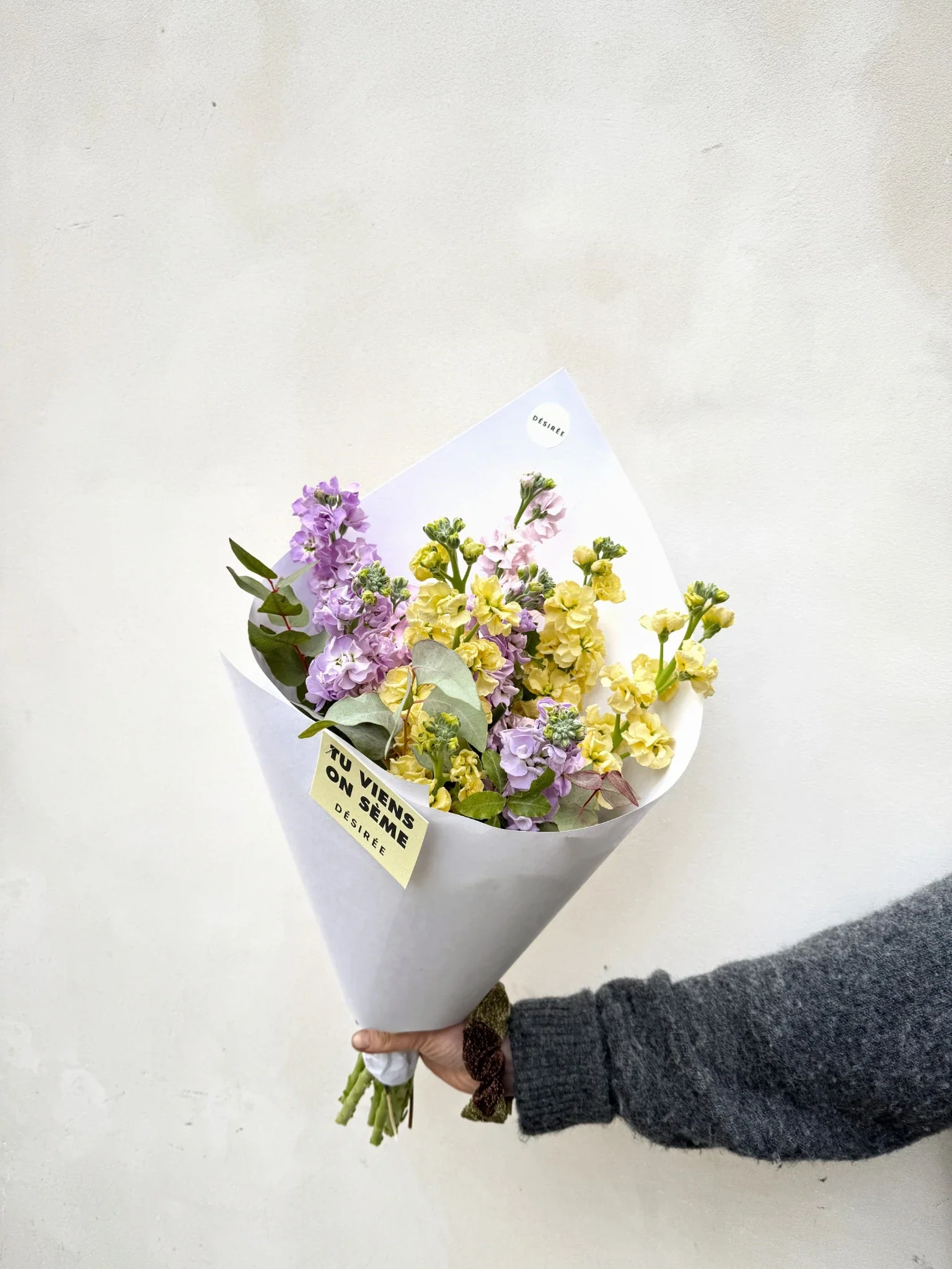Belle Fleur de la saison : Le giroflée - Image 2