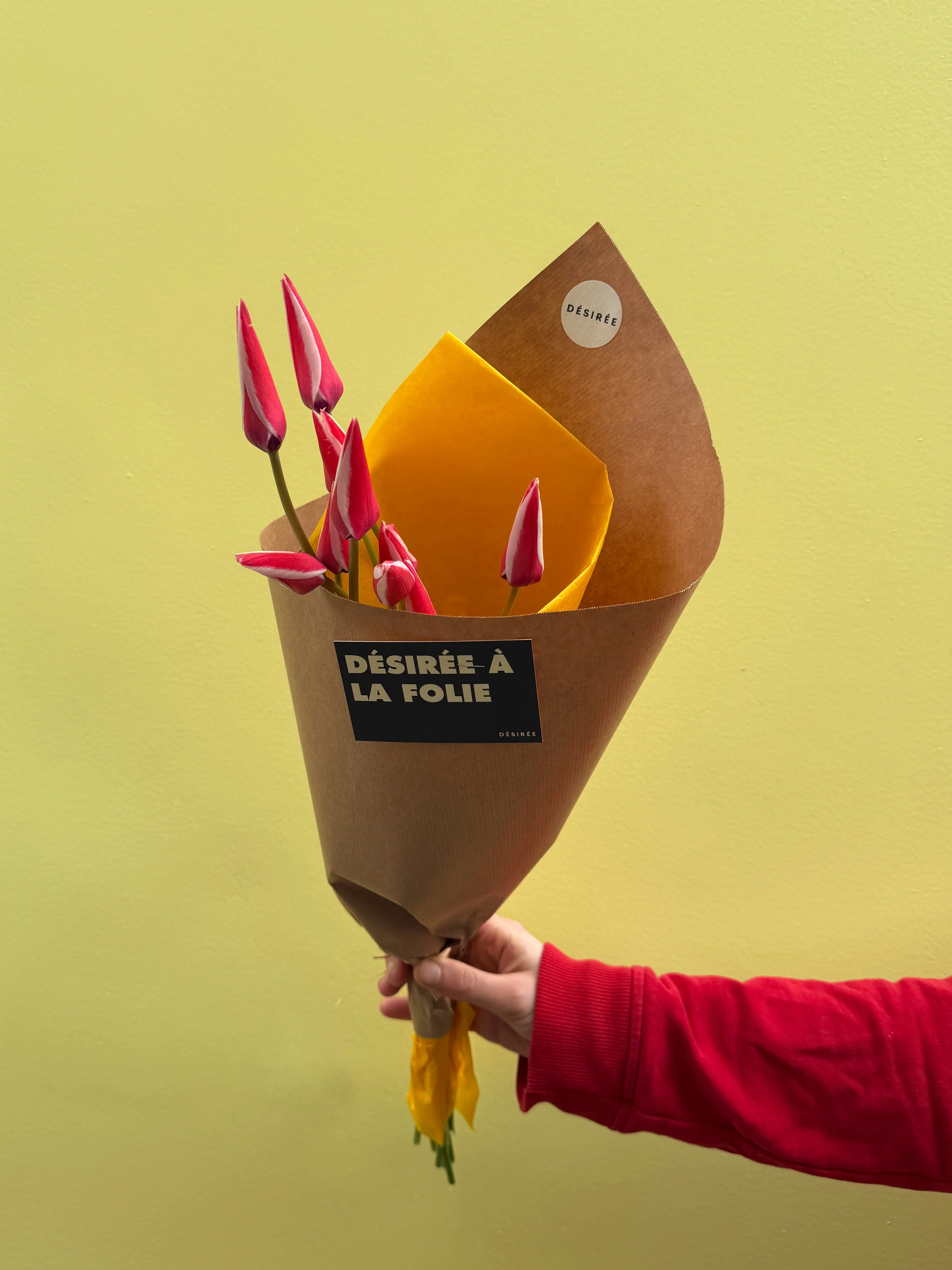 Collection de fleurs Perletto - Image 5