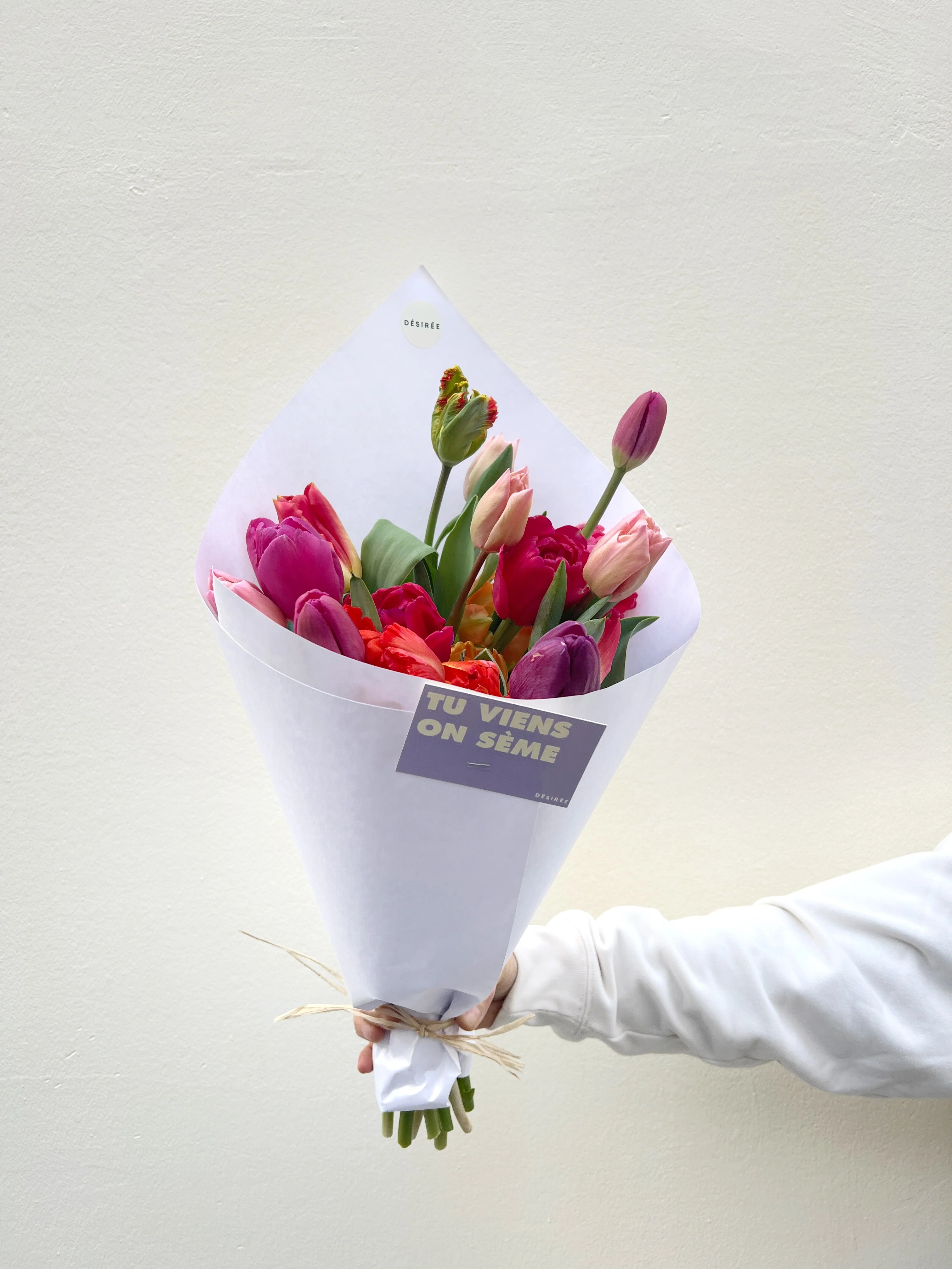 Collection de tulipes - Image 2