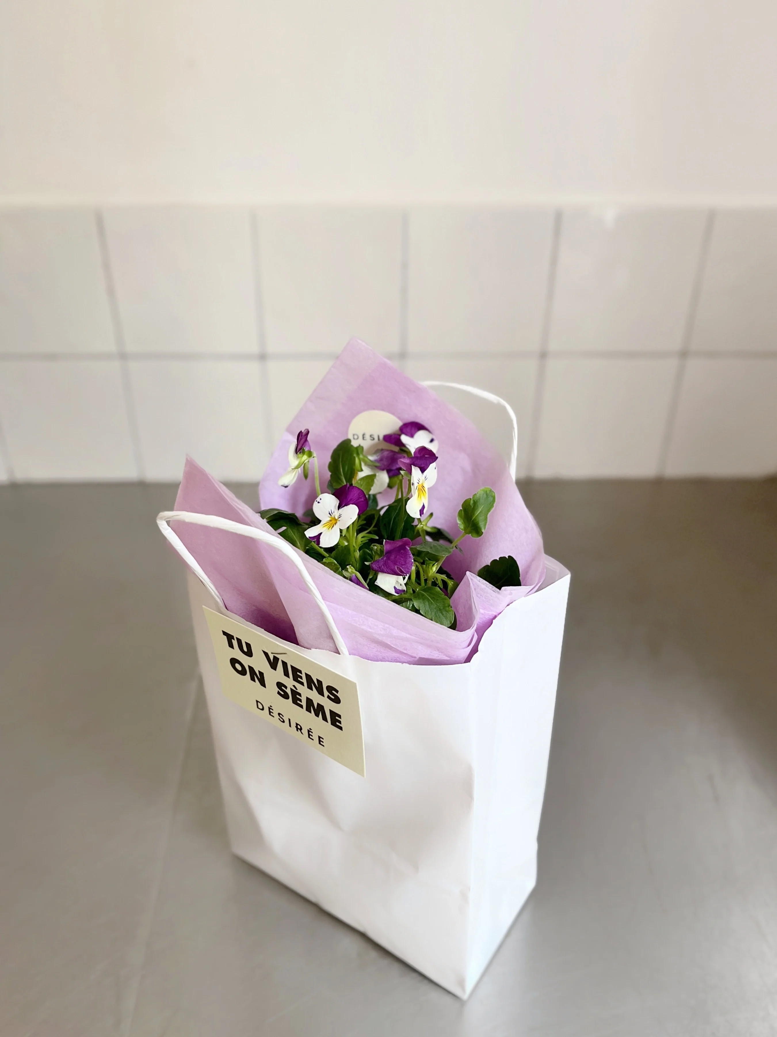 Petite plante fleurie en pot - Image 4