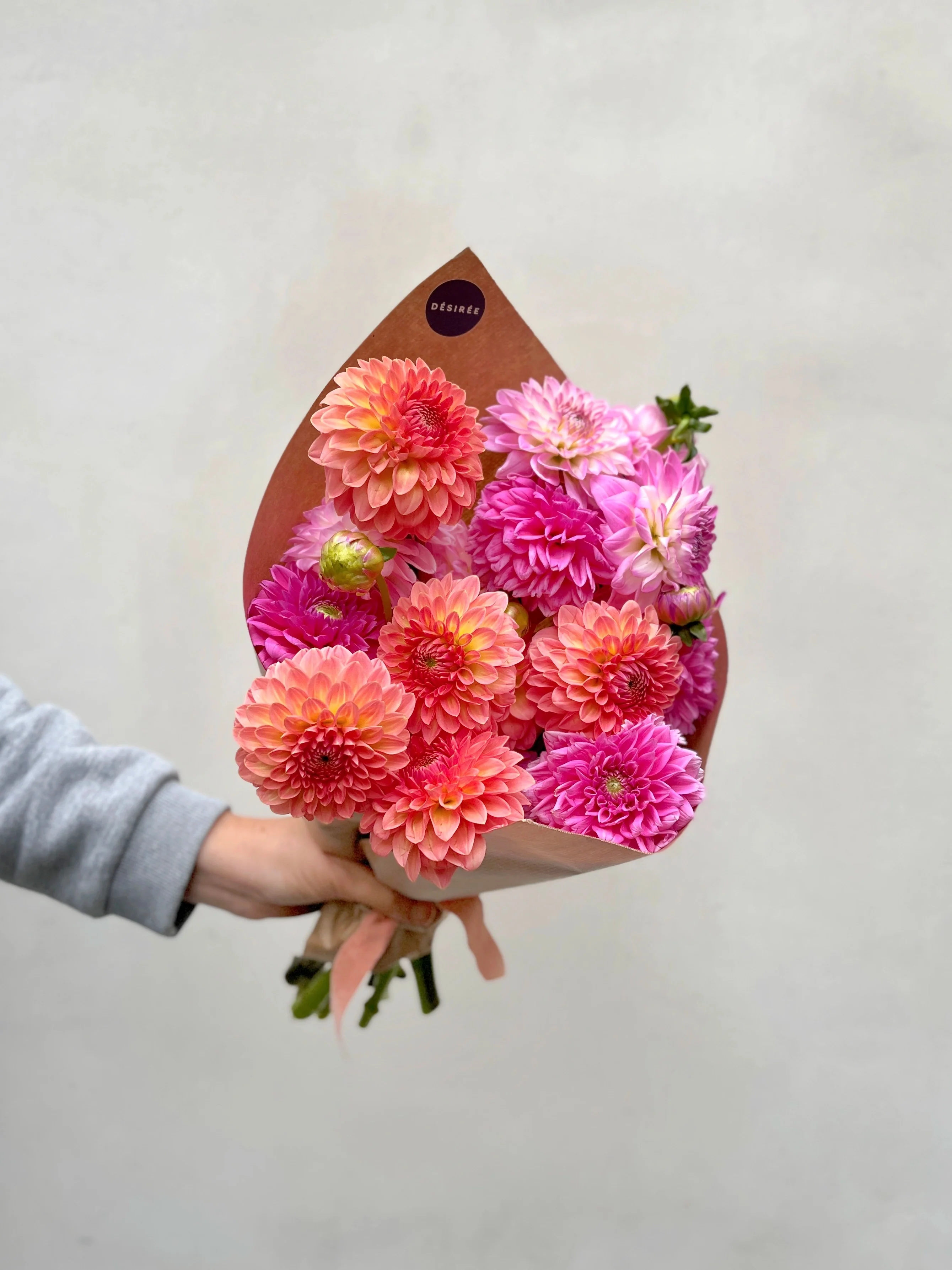 Giga Botte de dahlias d'Île de France 2025 - Image 3