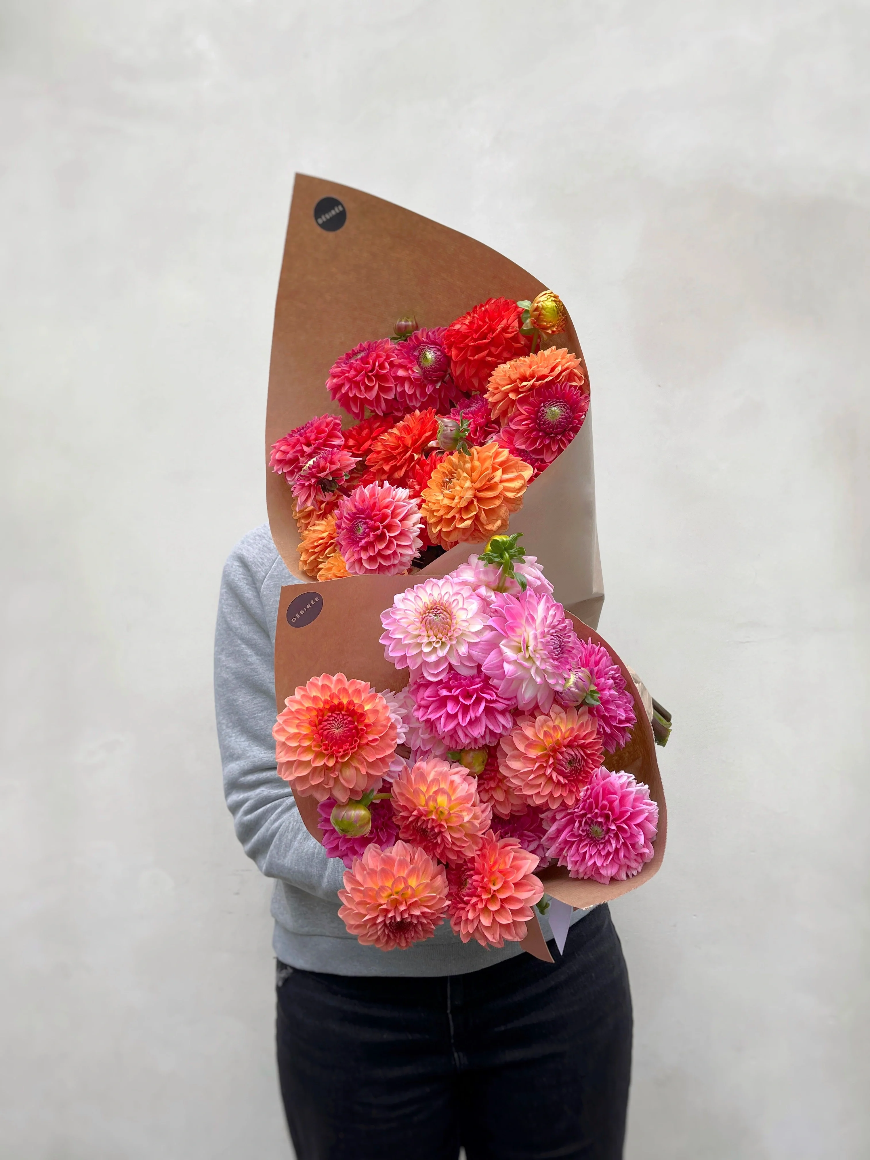 Giga Botte de dahlias d'Île de France 2025 - Image 4