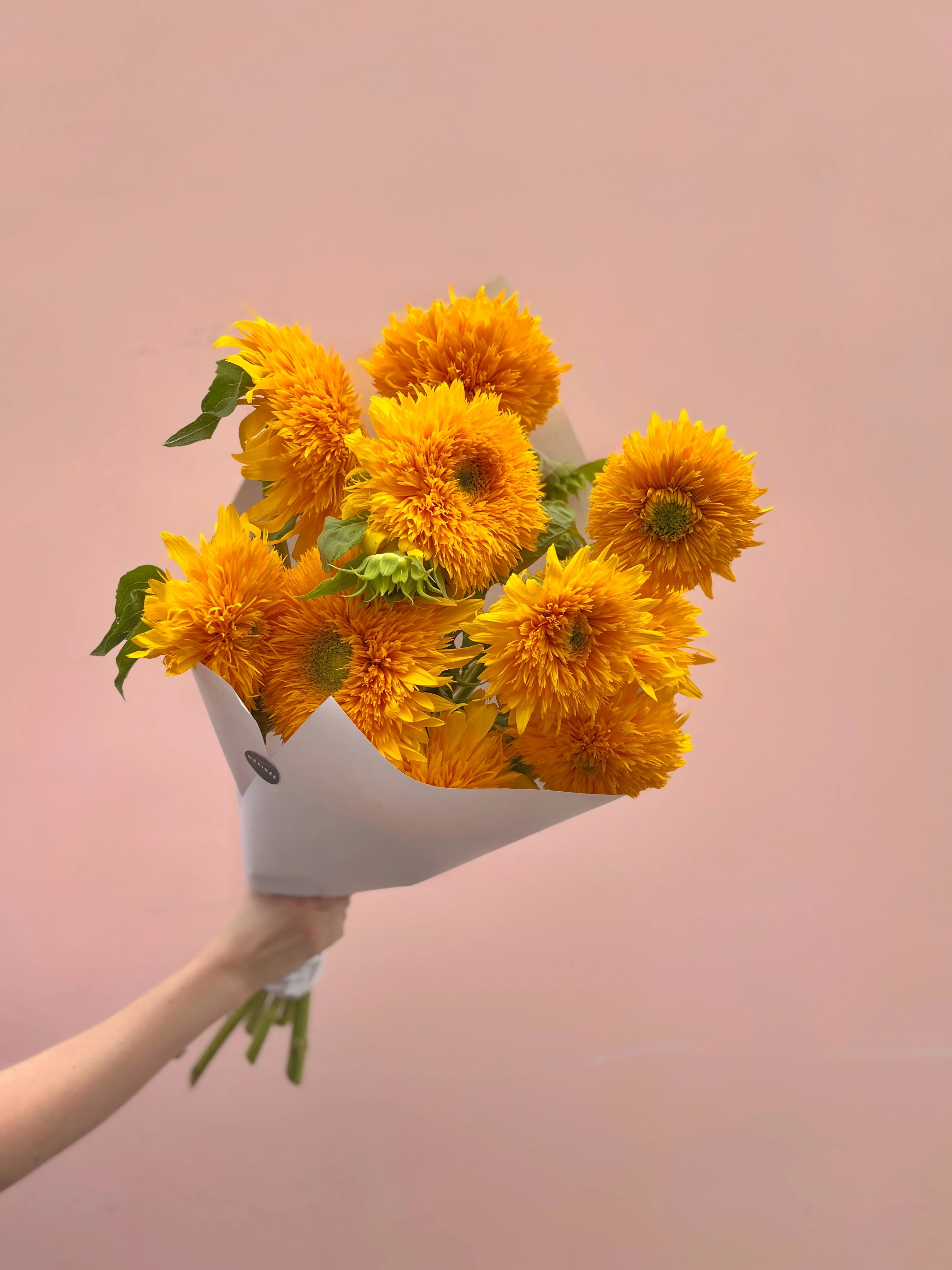 Super botte de tournesols